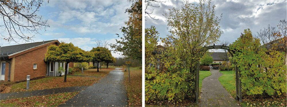 Utemiljön vid befintlig byggnad.