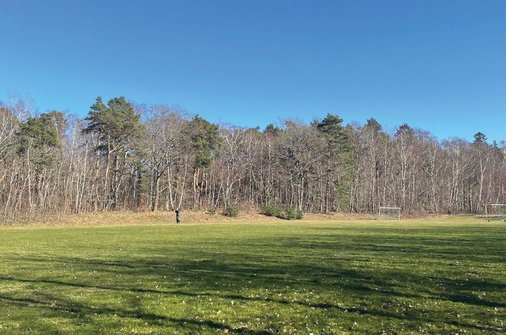 Bilden visar en stor gräsyta i planområdets nordvästra del med vegetation som ramar in området. 