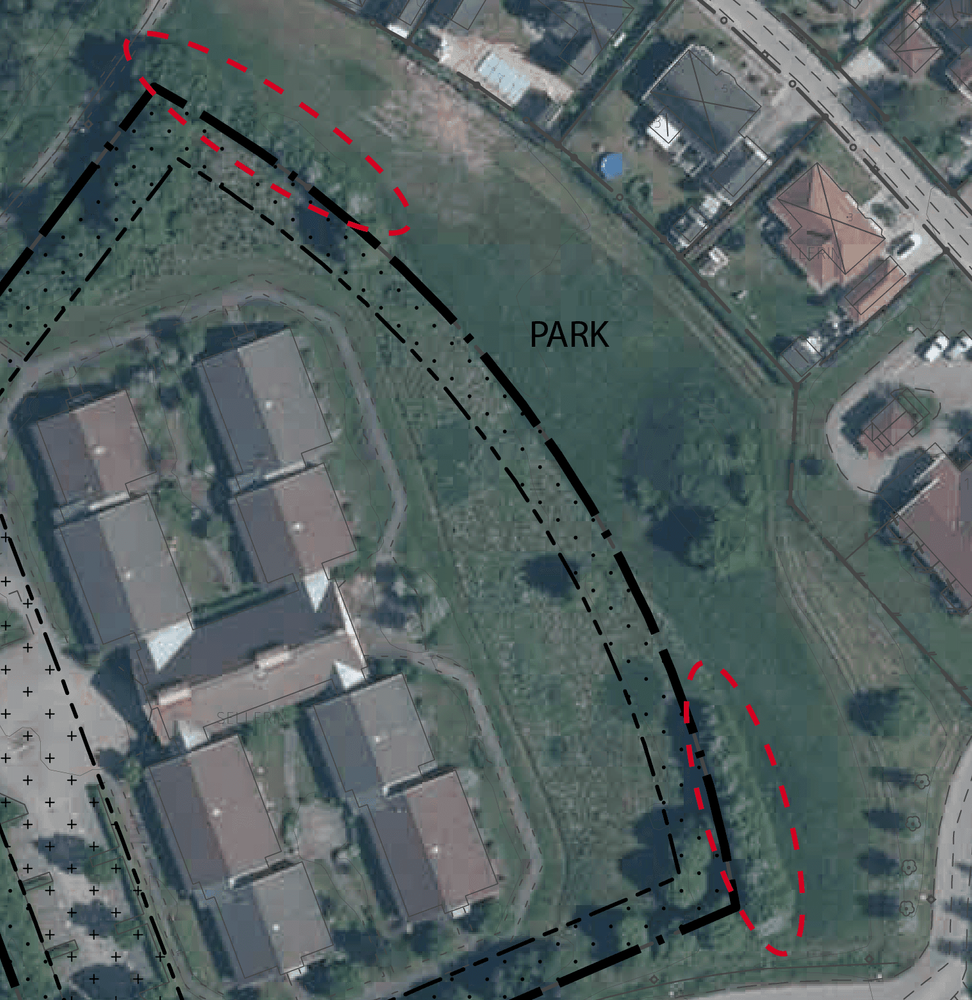Bilden visar de trädrader som finns strax utanför planområdet på parkmark. 